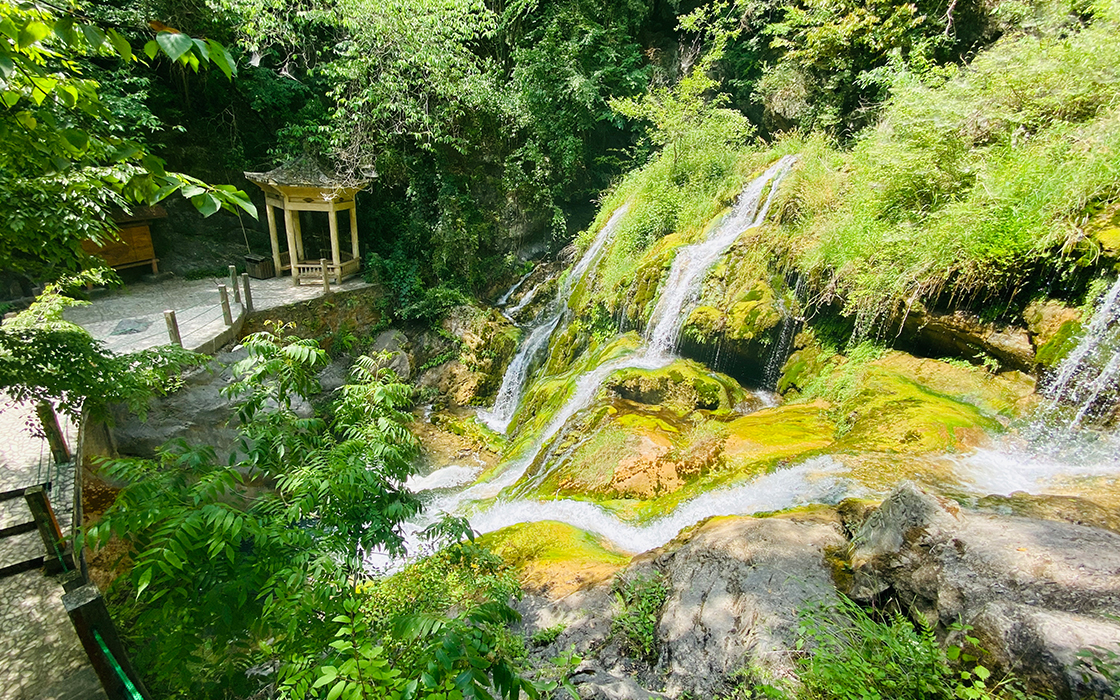 �����ϸ硤(�й�)���ֲ��ٷ���վ