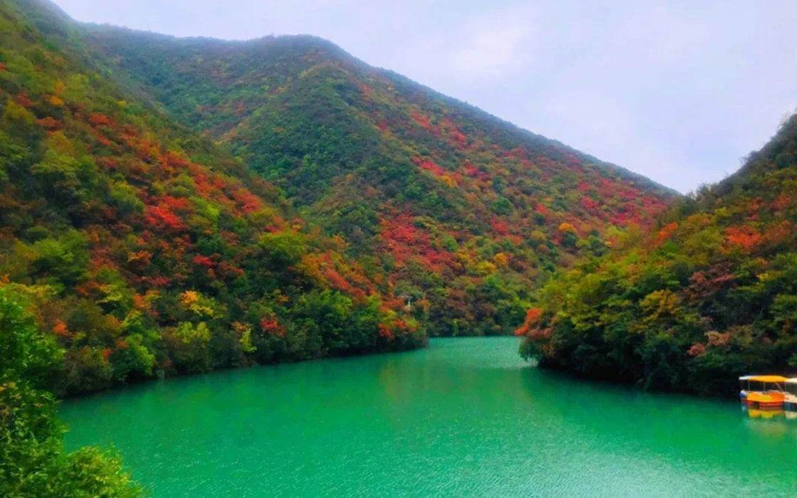 �����ϸ硤(�й�)���ֲ��ٷ���վ