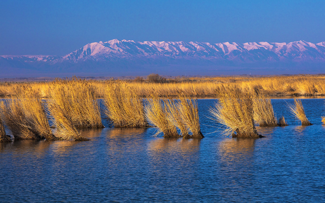 ¾ÅÓÎÀϸ硤(Öйú)¾ãÀÖ²¿¹Ù·½ÍøÕ¾