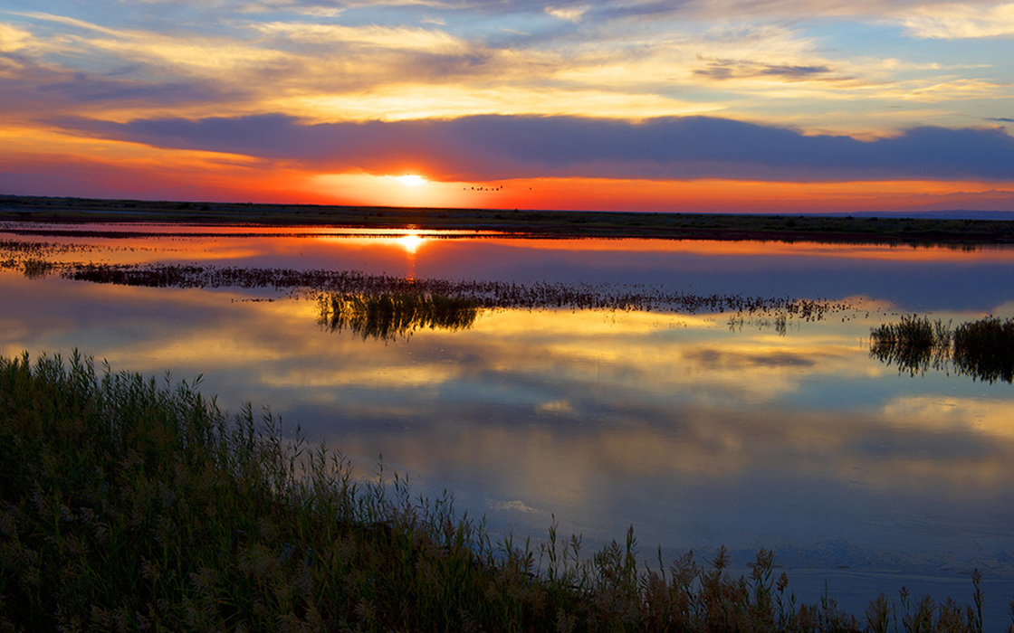 ¾ÅÓÎÀϸ硤(Öйú)¾ãÀÖ²¿¹Ù·½ÍøÕ¾