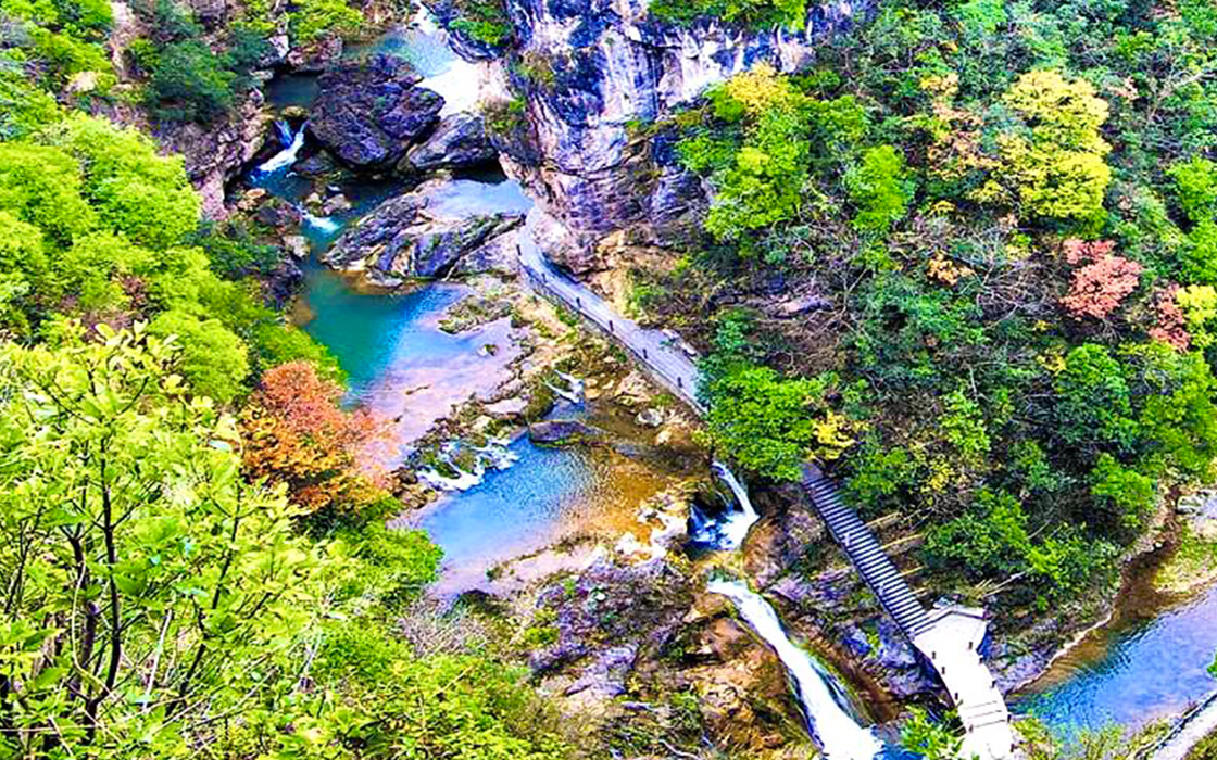 �����ϸ硤(�й�)���ֲ��ٷ���վ