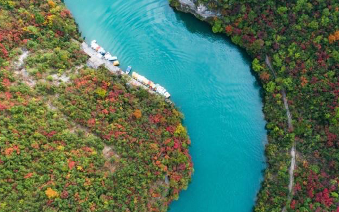 �����ϸ硤(�й�)���ֲ��ٷ���վ